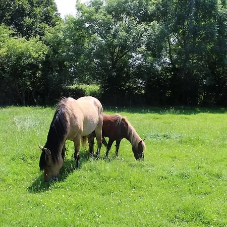 La Ferme De La Croix Semesterbostad *