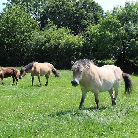 La Ferme De La Croix Semesterbostad *