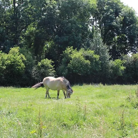 La Ferme De La Croix *